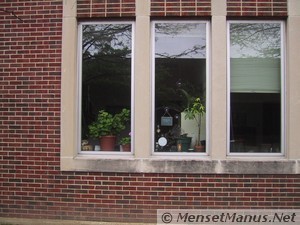 Office with plants in window