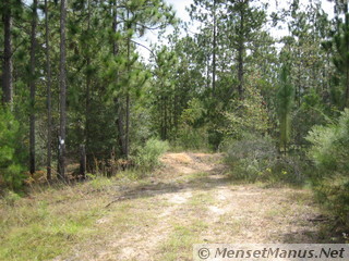 Dirt Piles and Barbed Wire Across Dirt Road