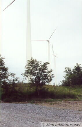 windmills past trees