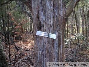Interpretive Sign on Tree