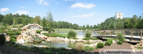 View of Pond from Cafe