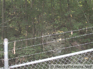 Ensor Sink Natural Area Sink Beyond Fence