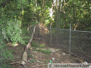Ensor Sink Natural Area Tree Fallen on Fence
