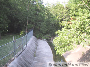 Ensor Sink Natural Area End of Drainage Canal