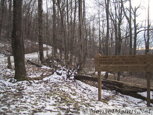 Trail to Frozen Head Tower