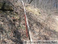 Frozen Head Boundary