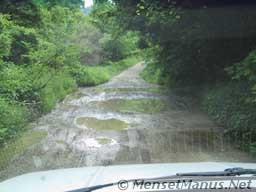 Road Narrow and Wet